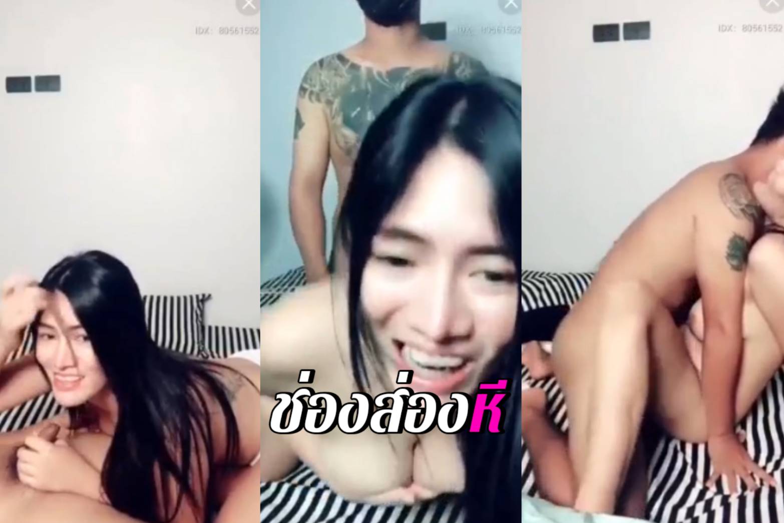 คลิปหลุดMLive น้องพลอย ไลฟ์สดเย็ดกับคู่เทพ นอนโม๊คควยเล่นท่า69 แล้วเอาควยเสียบหีเย็ดสด โดนจับเย็ดจนน้ำแตกในคาหี
